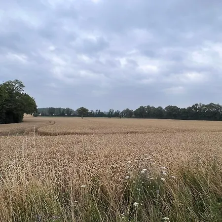 Charming In A Typical French Village Saint-Christophe-du-Luat