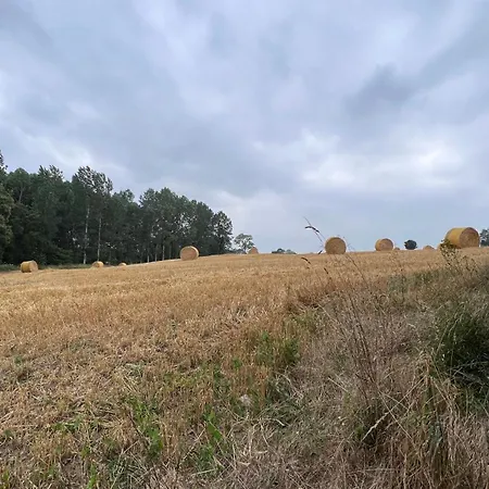 Charming In A Typical French Village Dom wakacyjny